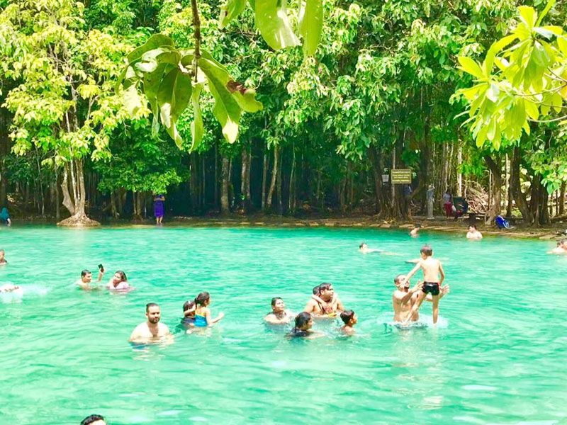 Emerald Pool & Hot Spring Waterfall Tour in Krabi