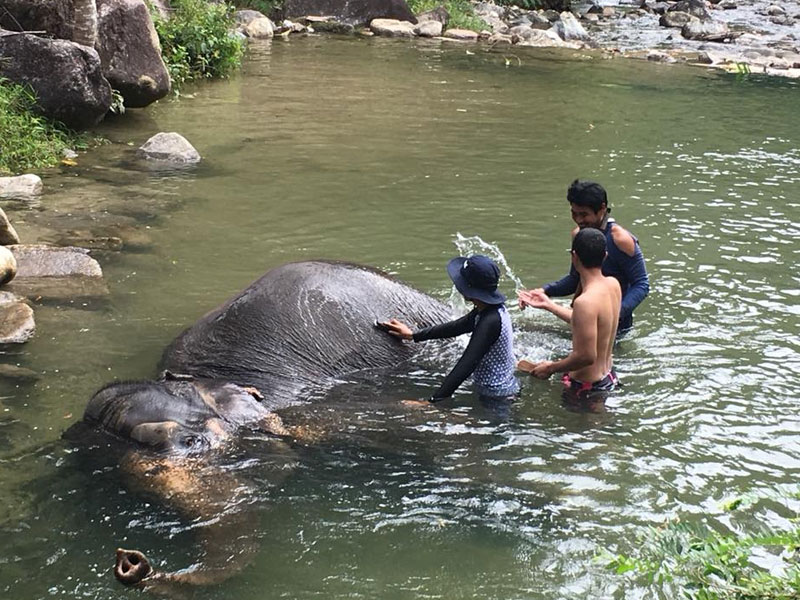 Emerald Pool & Hot Spring Waterfall Tour in Krabi