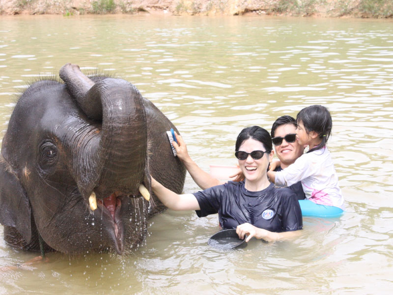 Phuket Elephant Bathing Tours