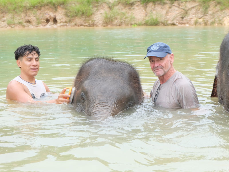 Phuket Elephant Bathing Tours