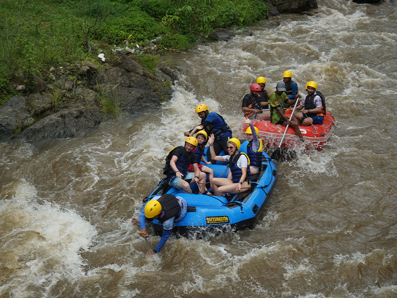 Whitewater Rafting Tours