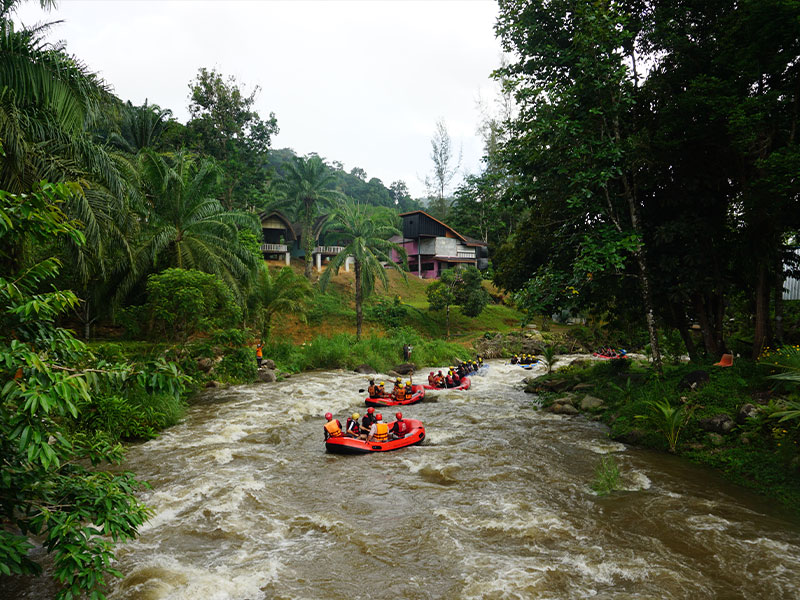 Whitewater Rafting Tours