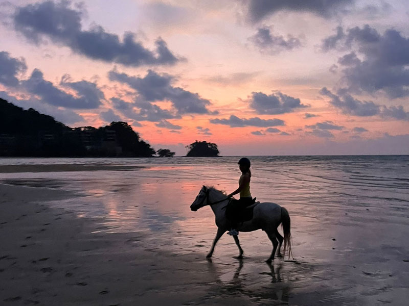 Phuket Horse Ridding