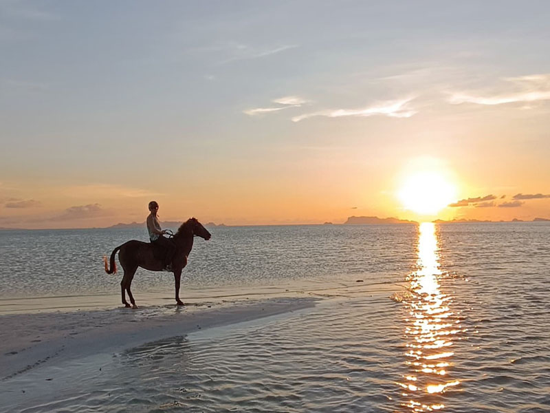Phuket Horse Ridding