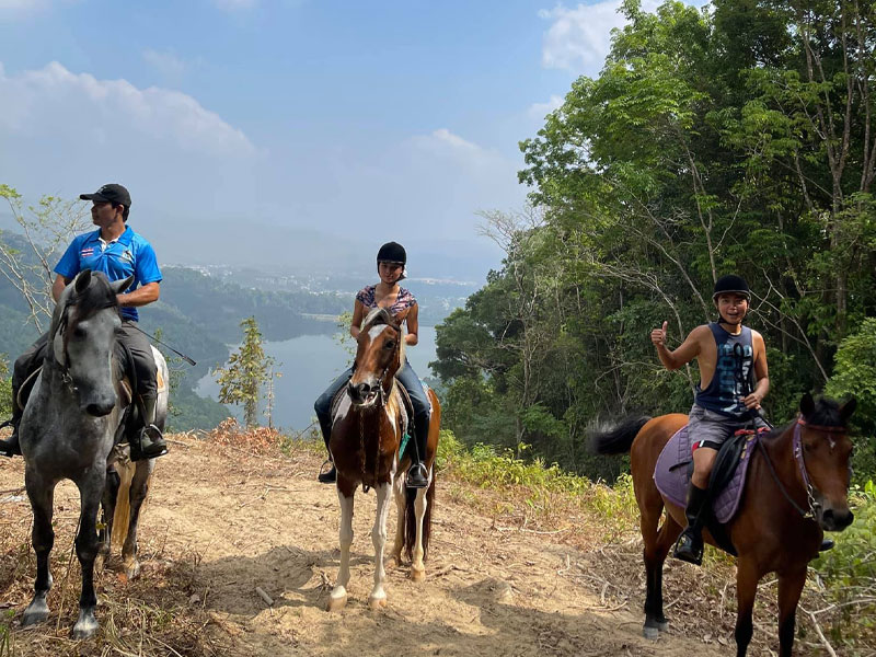 Phuket Horse Ridding