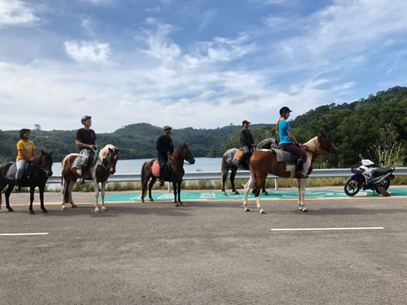 Phuket Horse Ridding