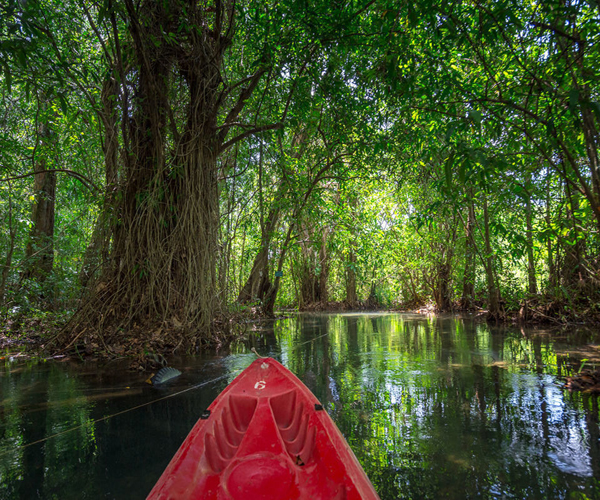 Kayaking Full Day at Klong Srakaew ATV With Lunch