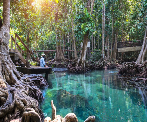 Half Day Day Hot Spring Waterfall & Emerald Pool Tour​ No Lunch