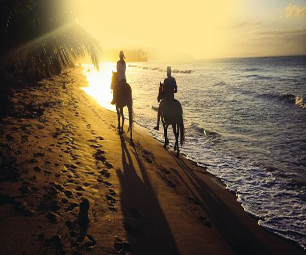 Horse Ridding