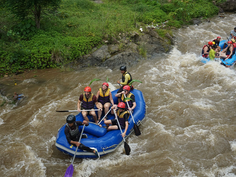 Whitewater Rafting Tours