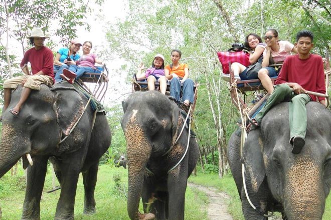 Sightseeing and Elephant Safari Tour