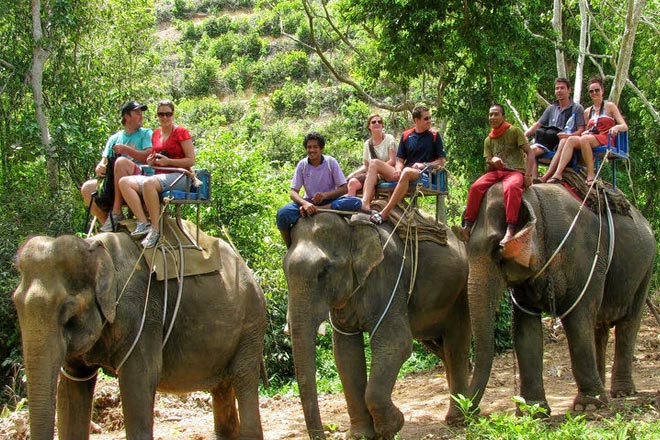 Sightseeing and Elephant Safari Tour