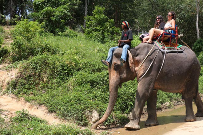 Sightseeing and Elephant Safari Tour