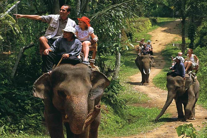 Sightseeing and Elephant Safari Tour