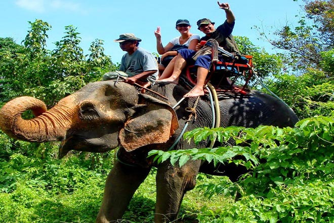 Sightseeing and Elephant Safari Tour