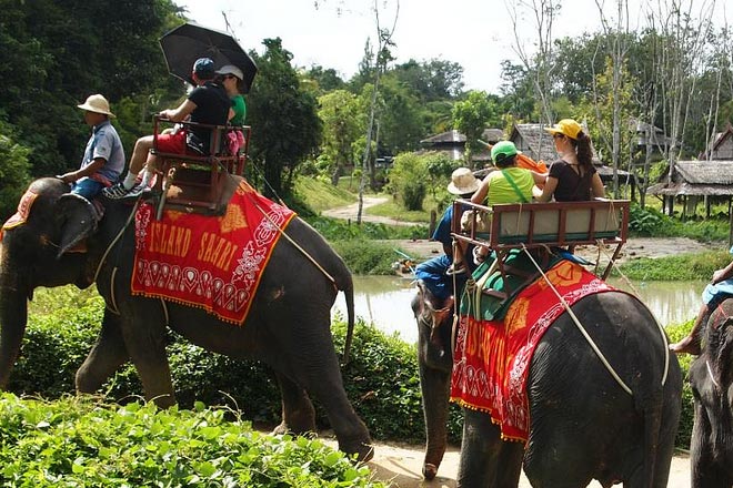 Sightseeing and Elephant Safari Tour