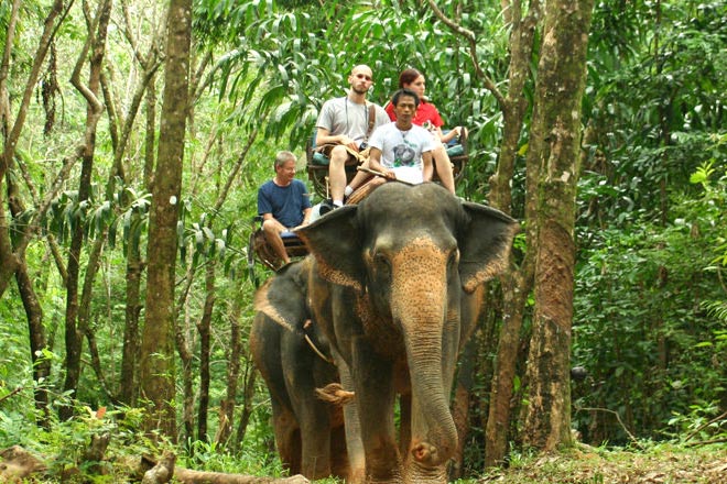 Sightseeing and Elephant Safari Tour
