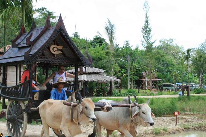 Phuket Safari Half Day Tour