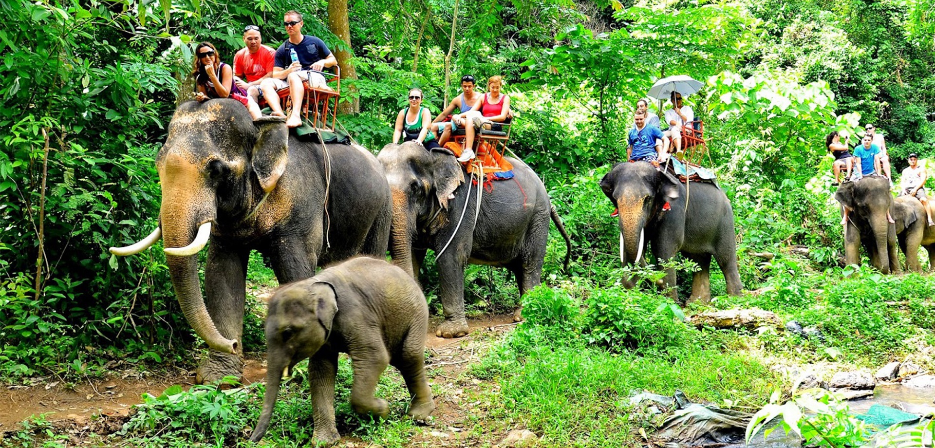 Phuket Safari Half Day Tour