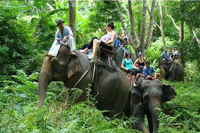 Phuket Safari Half Day Tour