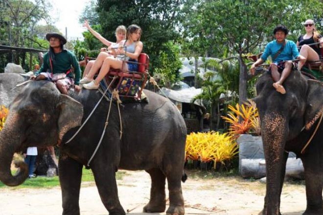 Phuket Safari Half Day Tour