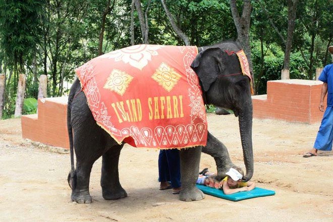 Phuket Safari Half Day Tour