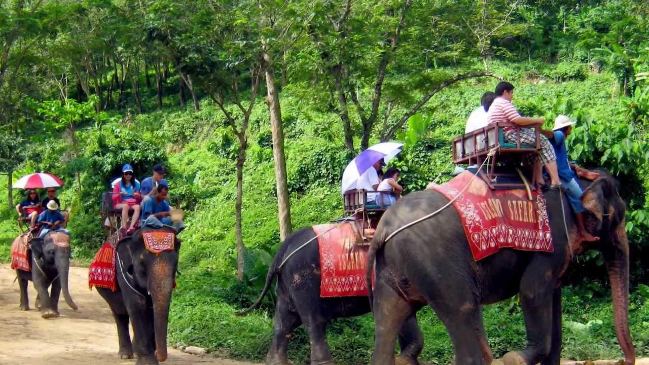 Phuket Safari Half Day Tour