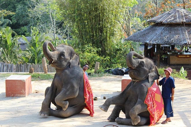 Phuket Safari Half Day Tour