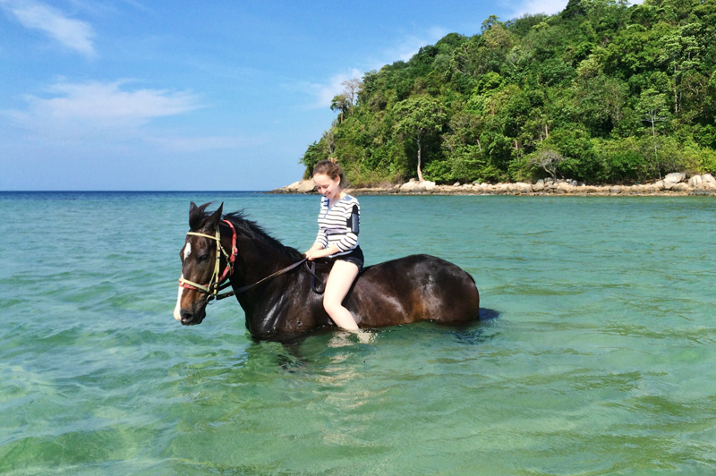Phuket Horse Ridding