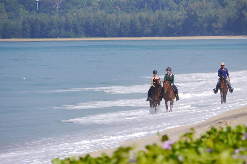 Phuket Horse Ridding