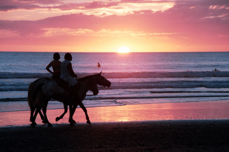 Phuket Horse Ridding