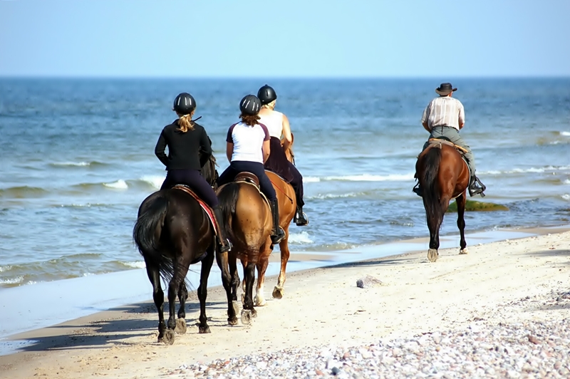 Phuket Horse Ridding