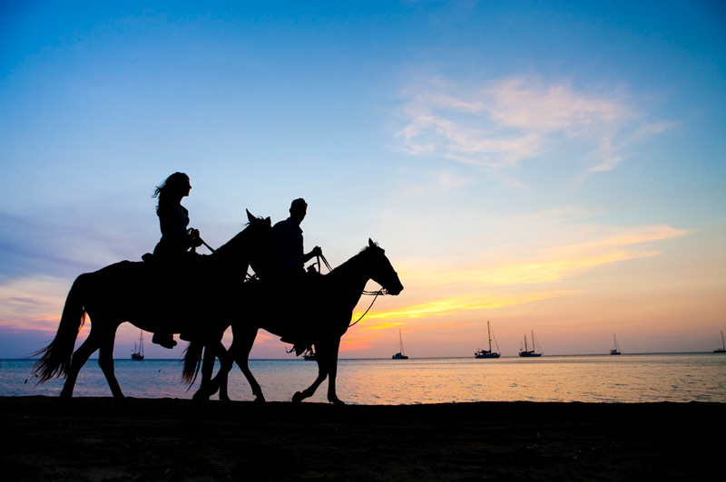 Phuket Horse Ridding