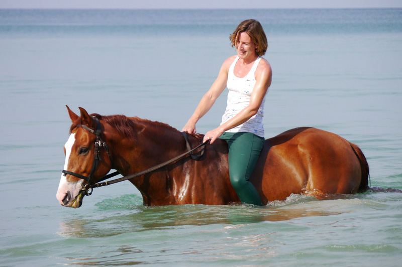 Phuket Horse Ridding