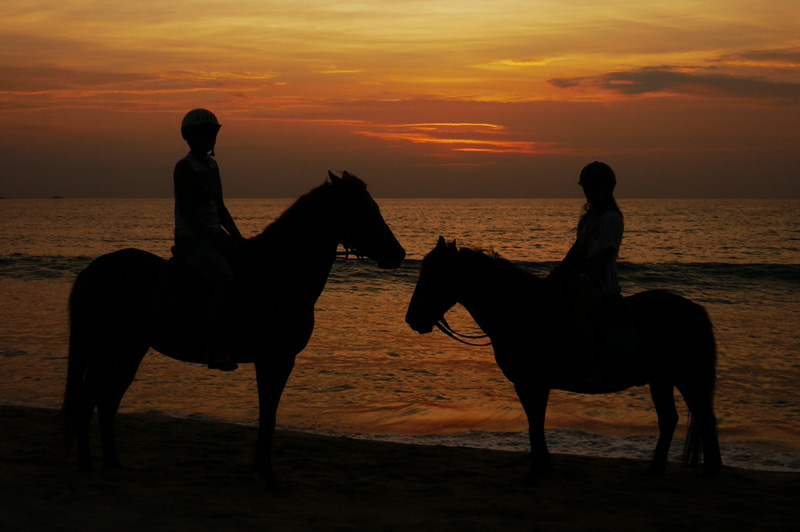 Phuket Horse Ridding