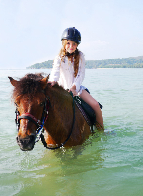 Phuket Horse Ridding
