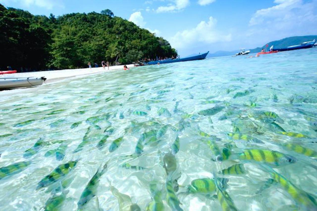 Coral Island Tour by speed boat