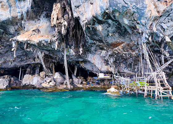Phi Phi Island Tour by Express Boat ( Big Boat)