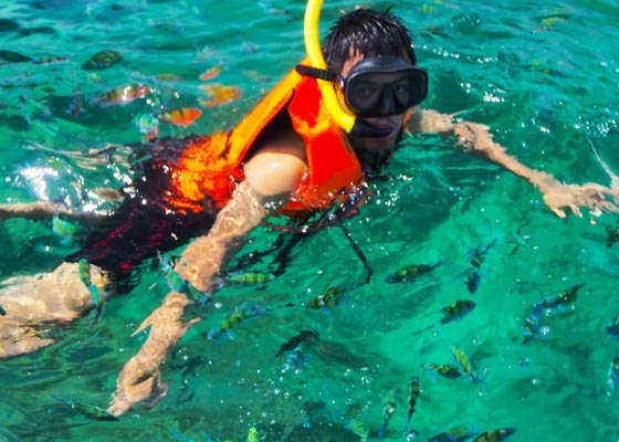 Phi Phi Island Tour by Express Boat ( Big Boat)