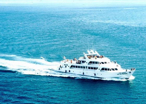 Phi Phi Island Tour by Express Boat ( Big Boat)
