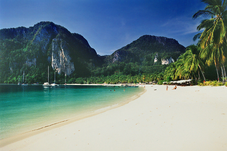 Phi Phi Island Tour by Speed Boat Half Day