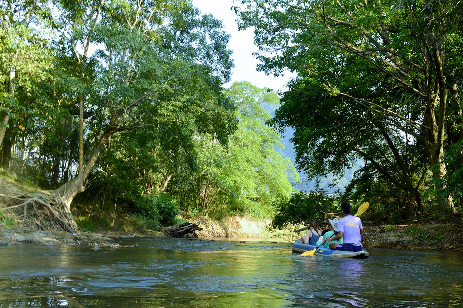 Khao Sok National Park Jungle Safari Tours