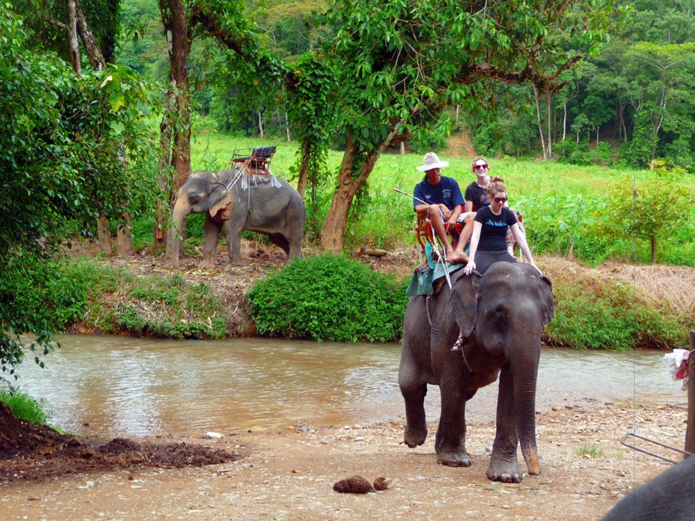 Khao Sok National Park Jungle Safari Tours