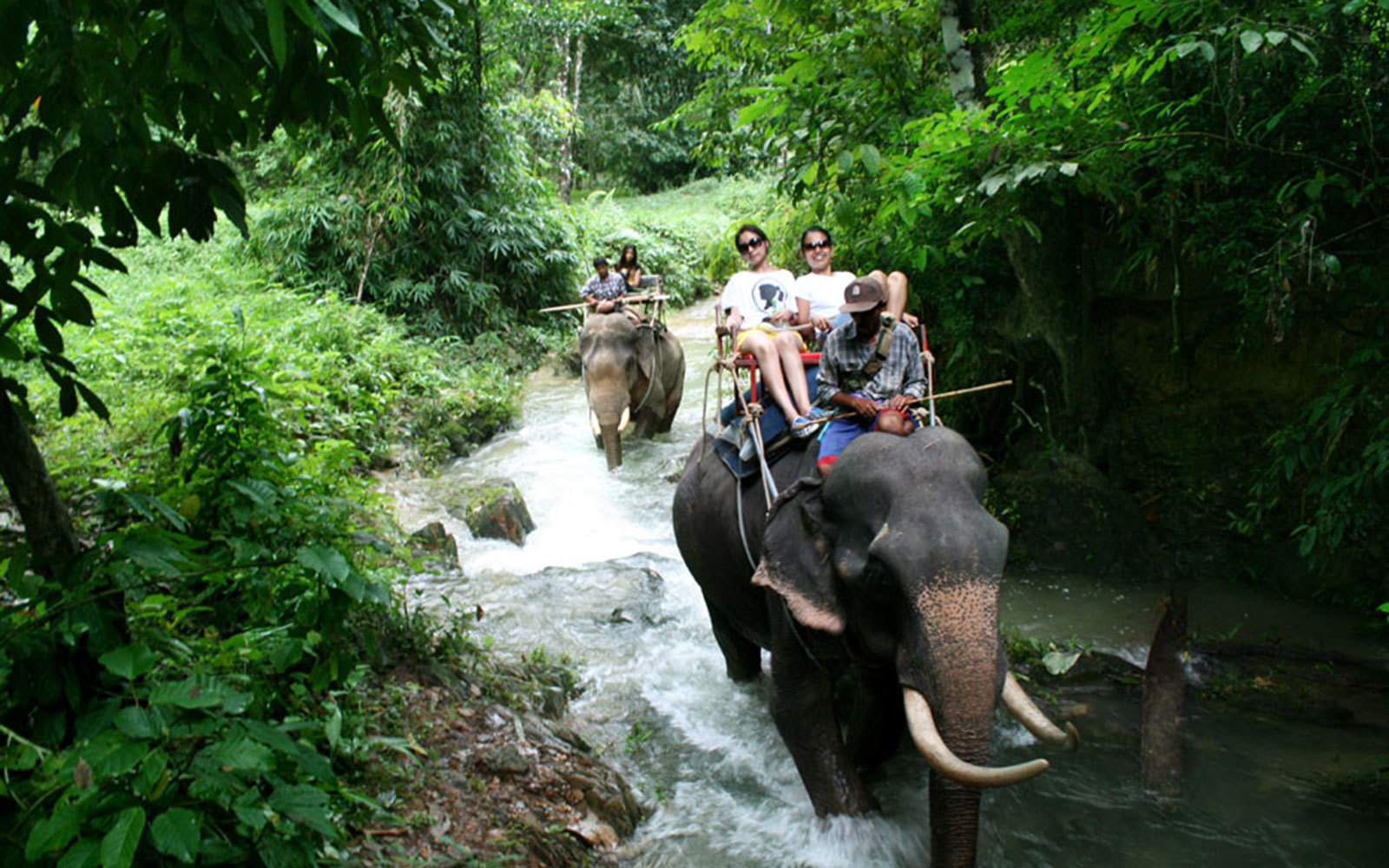 Khao Sok National Park Jungle Safari Tours