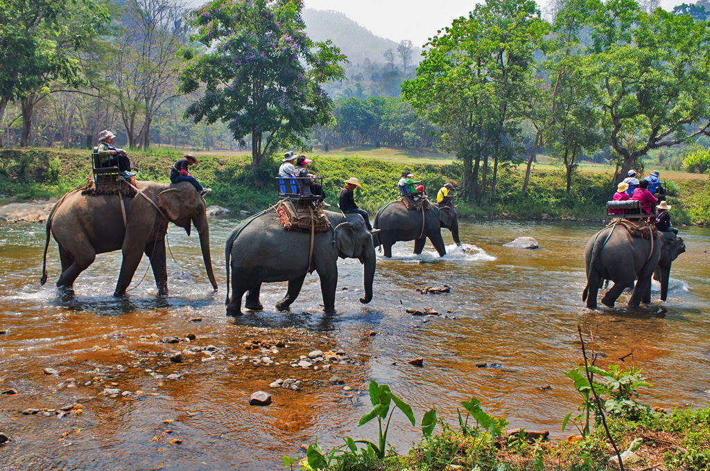 Khao Sok National Park Jungle Safari Tours