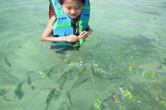 Phang Nga Bay & Khai Island Tour by speed boat
