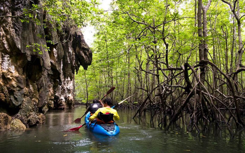 Kayaking Full Day at Ao Thailand With Lunch