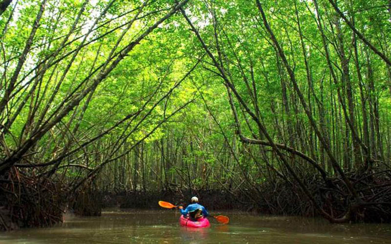 Kayaking Full Day at Ao Thailand With Lunch