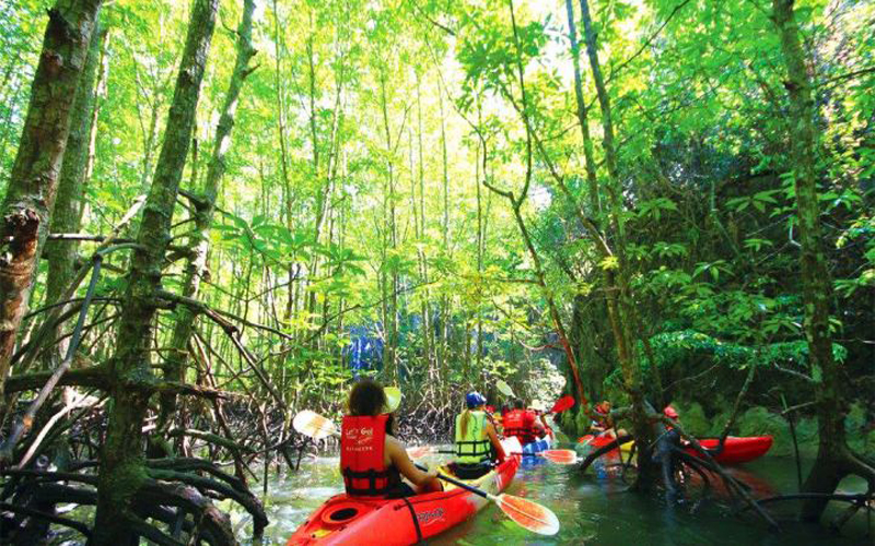 Kayaking Half Day at Ao Thalane/Morning Time No Food