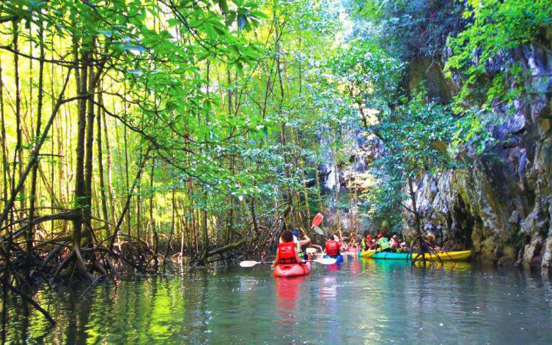 Kayaking Half Day at Ao Thalane/Morning Time No Food